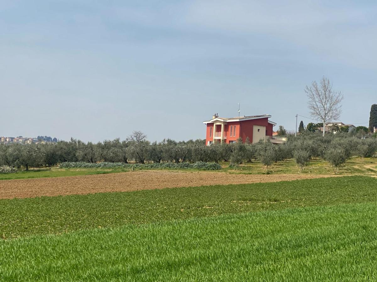 Montecosaro  Olea B&B מראה חיצוני תמונה