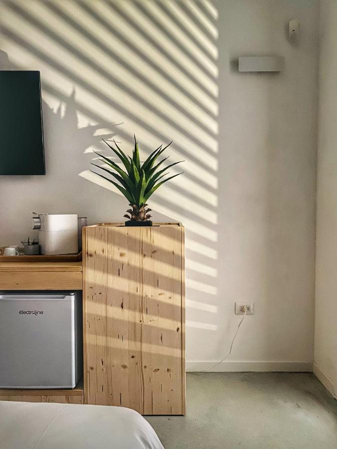 Montecosaro  Olea B&B מראה חיצוני תמונה