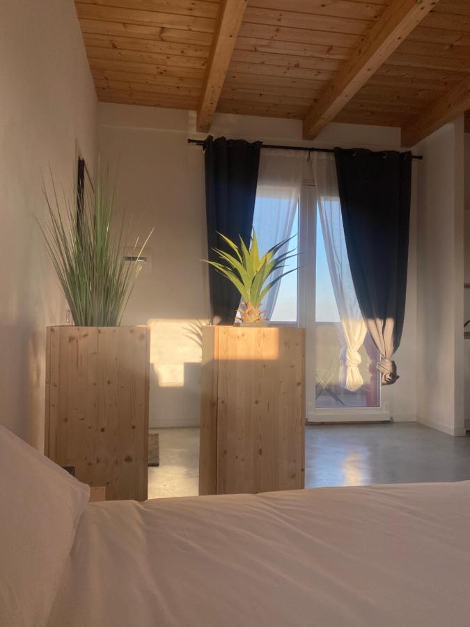 Montecosaro  Olea B&B מראה חיצוני תמונה
