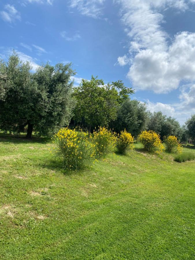 Montecosaro  Olea B&B מראה חיצוני תמונה